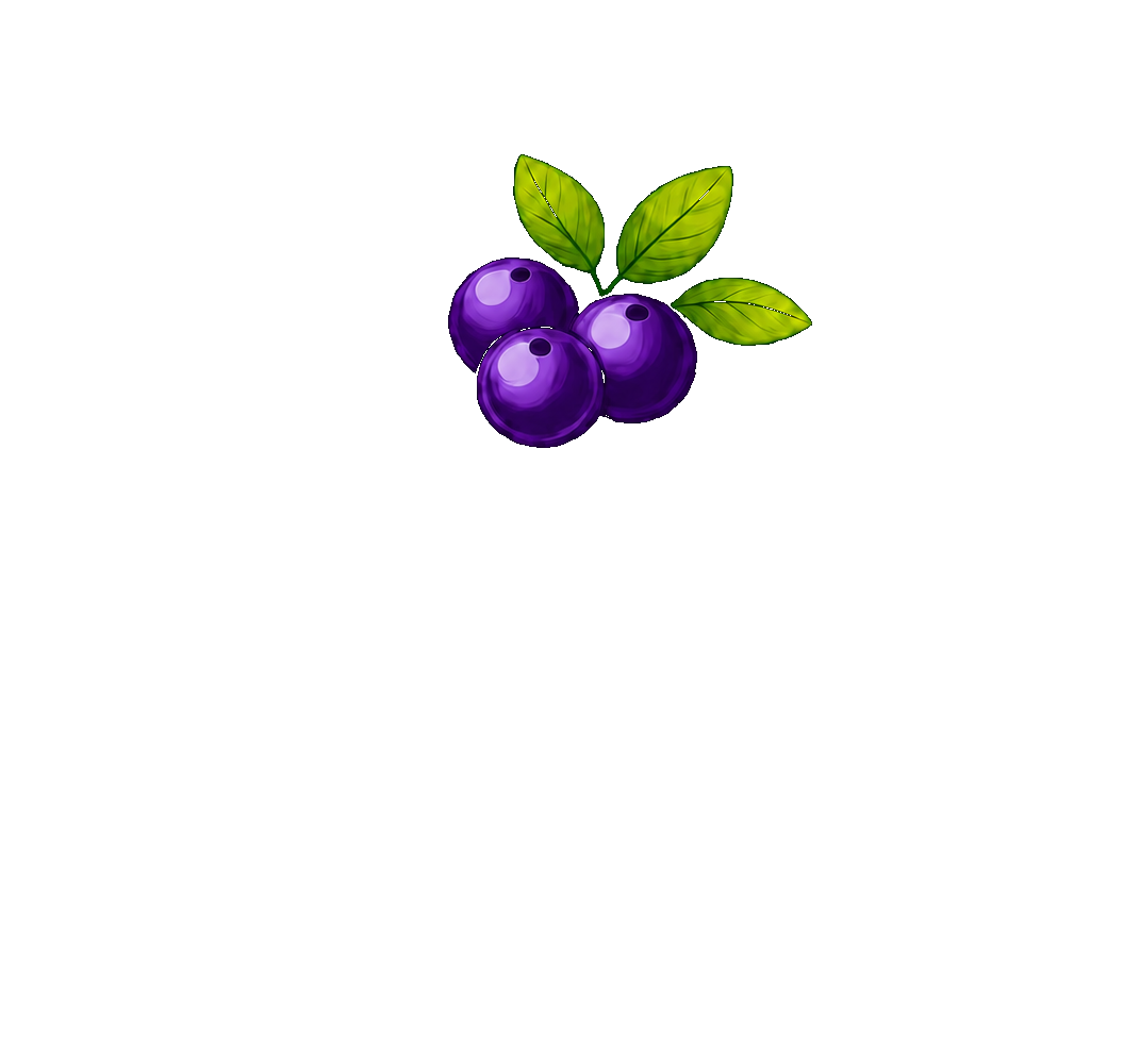 Açaí Lovers — The Original Açaí
